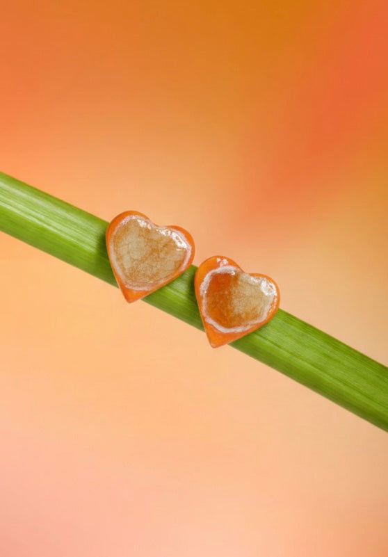 artifact no. 9 // the clementine heart