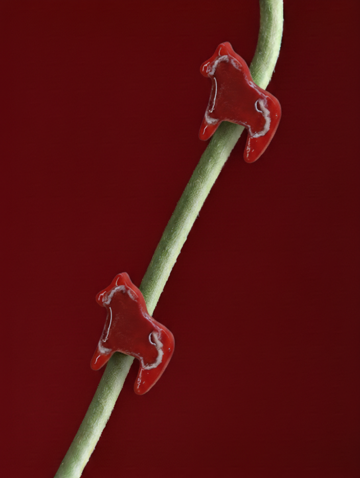 artifact no. 11 // the lunar horse
